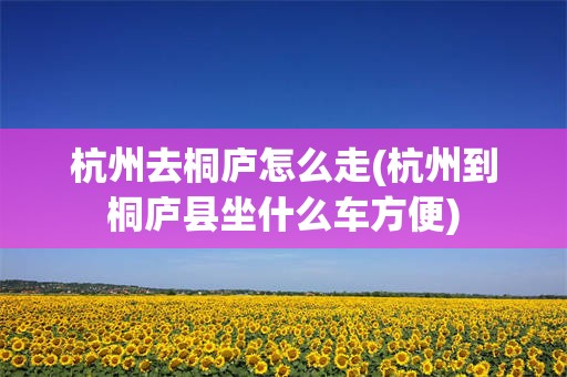 杭州去桐庐怎么走(杭州到桐庐县坐什么车方便)