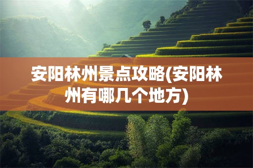 安阳林州景点攻略(安阳林州有哪几个地方)