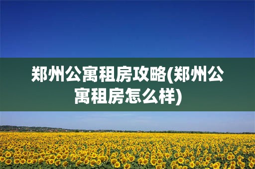 郑州公寓租房攻略(郑州公寓租房怎么样)