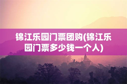 锦江乐园门票团购(锦江乐园门票多少钱一个人)