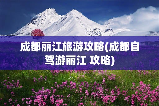 成都丽江旅游攻略(成都自驾游丽江 攻略)