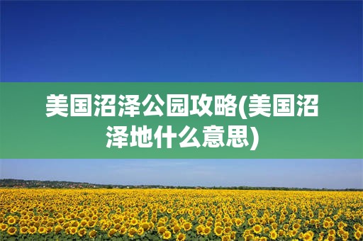 美国沼泽公园攻略(美国沼泽地什么意思)