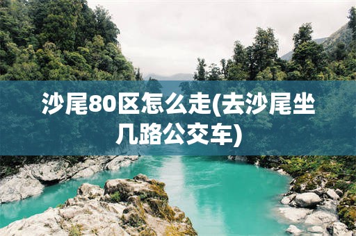 沙尾80区怎么走(去沙尾坐几路公交车)