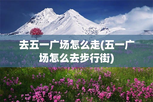 去五一广场怎么走(五一广场怎么去步行街)