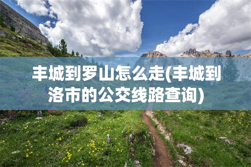 丰城到罗山怎么走(丰城到洛市的公交线路查询)