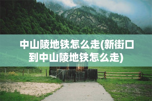 中山陵地铁怎么走(新街口到中山陵地铁怎么走)