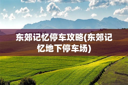 东郊记忆停车攻略(东郊记忆地下停车场)