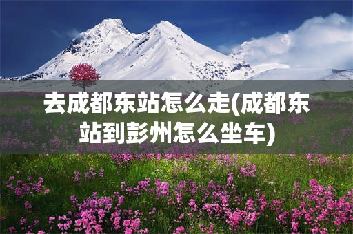 去成都东站怎么走(成都东站到彭州怎么坐车)