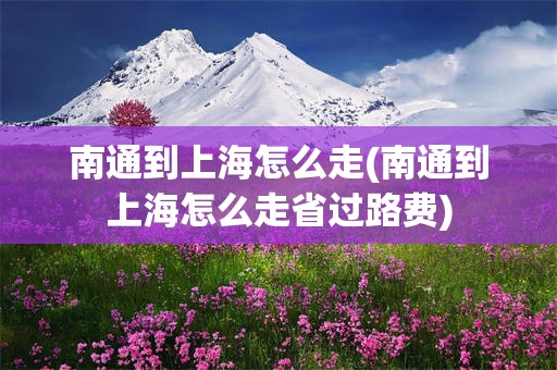 南通到上海怎么走(南通到上海怎么走省过路费)