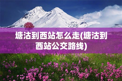 塘沽到西站怎么走(塘沽到西站公交路线)