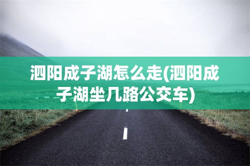 泗阳成子湖怎么走(泗阳成子湖坐几路公交车)