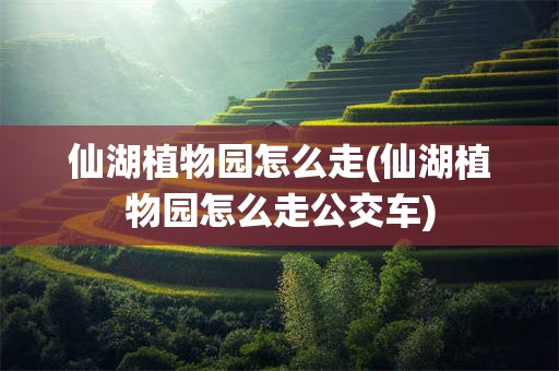 仙湖植物园怎么走(仙湖植物园怎么走公交车)