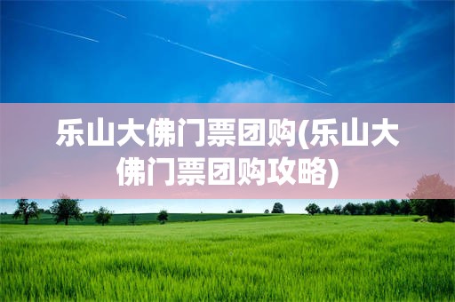 乐山大佛门票团购(乐山大佛门票团购攻略)