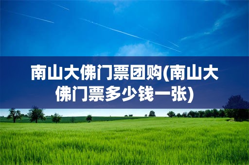 南山大佛门票团购(南山大佛门票多少钱一张)