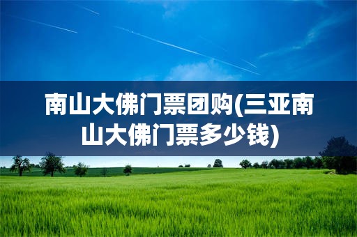 南山大佛门票团购(三亚南山大佛门票多少钱)