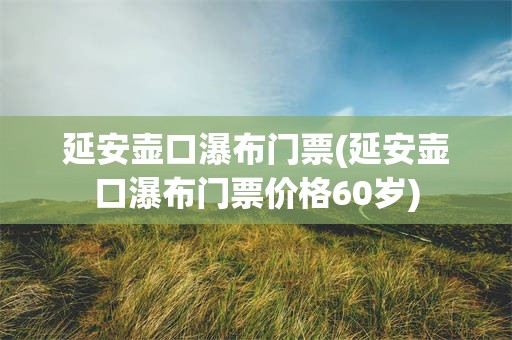 延安壶口瀑布门票(延安壶口瀑布门票价格60岁)