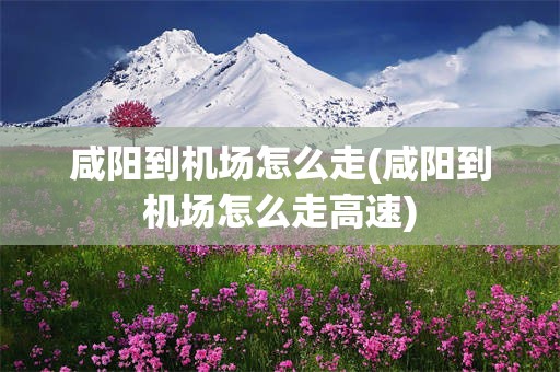 咸阳到机场怎么走(咸阳到机场怎么走高速)