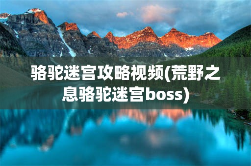 骆驼迷宫攻略视频(荒野之息骆驼迷宫boss)