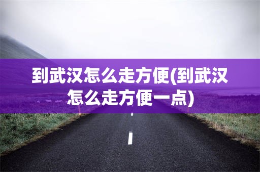 到武汉怎么走方便(到武汉怎么走方便一点)