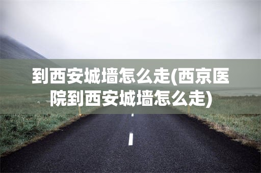 到西安城墙怎么走(西京医院到西安城墙怎么走)