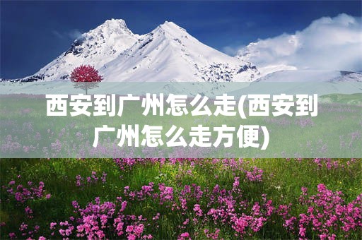 西安到广州怎么走(西安到广州怎么走方便)