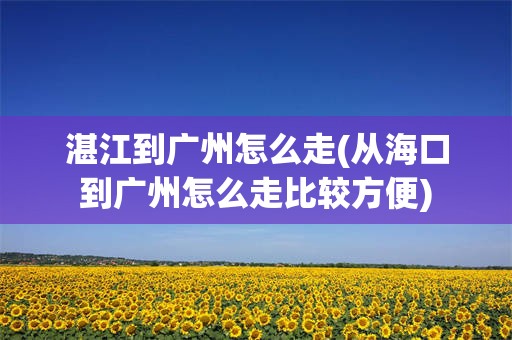 湛江到广州怎么走(从海口到广州怎么走比较方便)