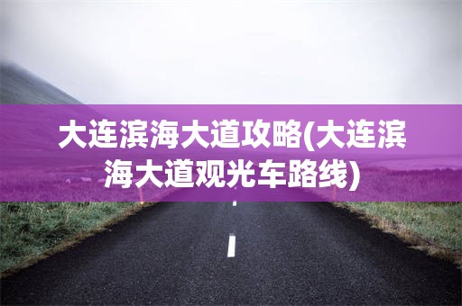 大连滨海大道攻略(大连滨海大道观光车路线)