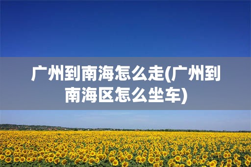 广州到南海怎么走(广州到南海区怎么坐车)