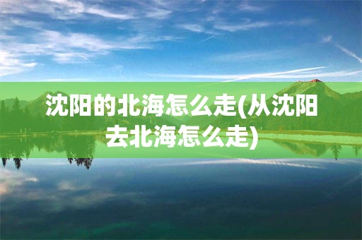 沈阳的北海怎么走(从沈阳去北海怎么走)