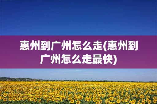 惠州到广州怎么走(惠州到广州怎么走最快)