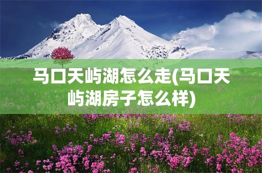 马口天屿湖怎么走(马口天屿湖房子怎么样)