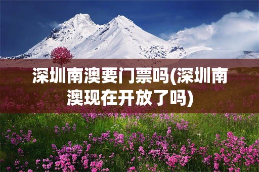 深圳南澳要门票吗(深圳南澳现在开放了吗)