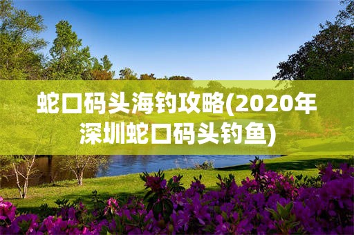 蛇口码头海钓攻略(2020年深圳蛇口码头钓鱼)