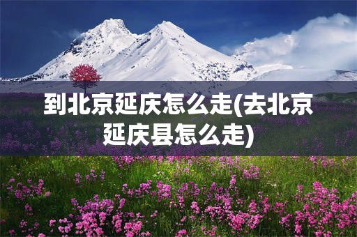 到北京延庆怎么走(去北京延庆县怎么走)