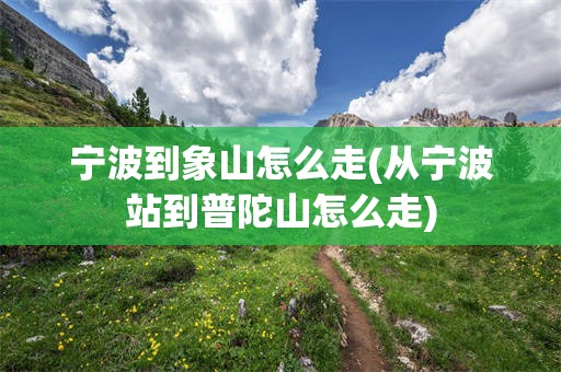 宁波到象山怎么走(从宁波站到普陀山怎么走)