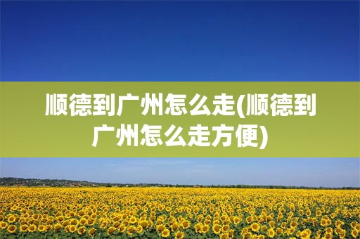 顺德到广州怎么走(顺德到广州怎么走方便)