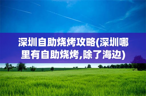 深圳自助烧烤攻略(深圳哪里有自助烧烤,除了海边)