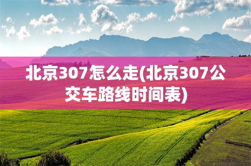 北京307怎么走(北京307公交车路线时间表)