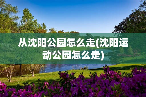 从沈阳公园怎么走(沈阳运动公园怎么走)