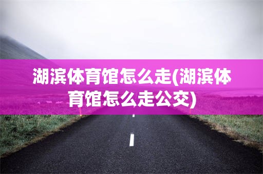 湖滨体育馆怎么走(湖滨体育馆怎么走公交)