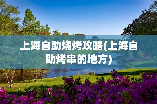 上海自助烧烤攻略(上海自助烤串的地方)