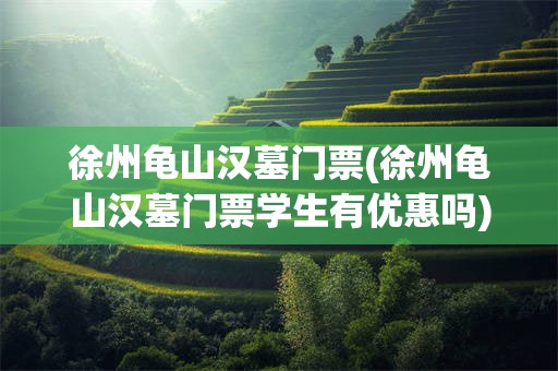 徐州龟山汉墓门票(徐州龟山汉墓门票学生有优惠吗)