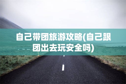 自己带团旅游攻略(自己跟团出去玩安全吗)