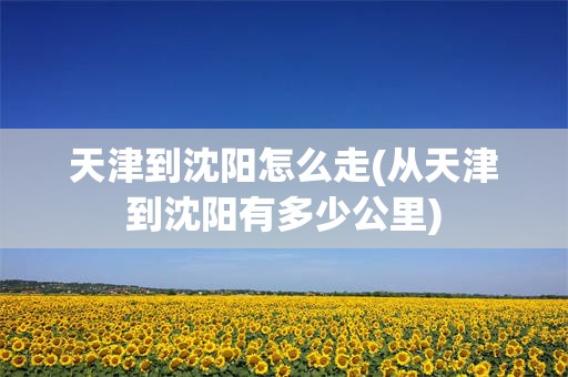 天津到沈阳怎么走(从天津到沈阳有多少公里)